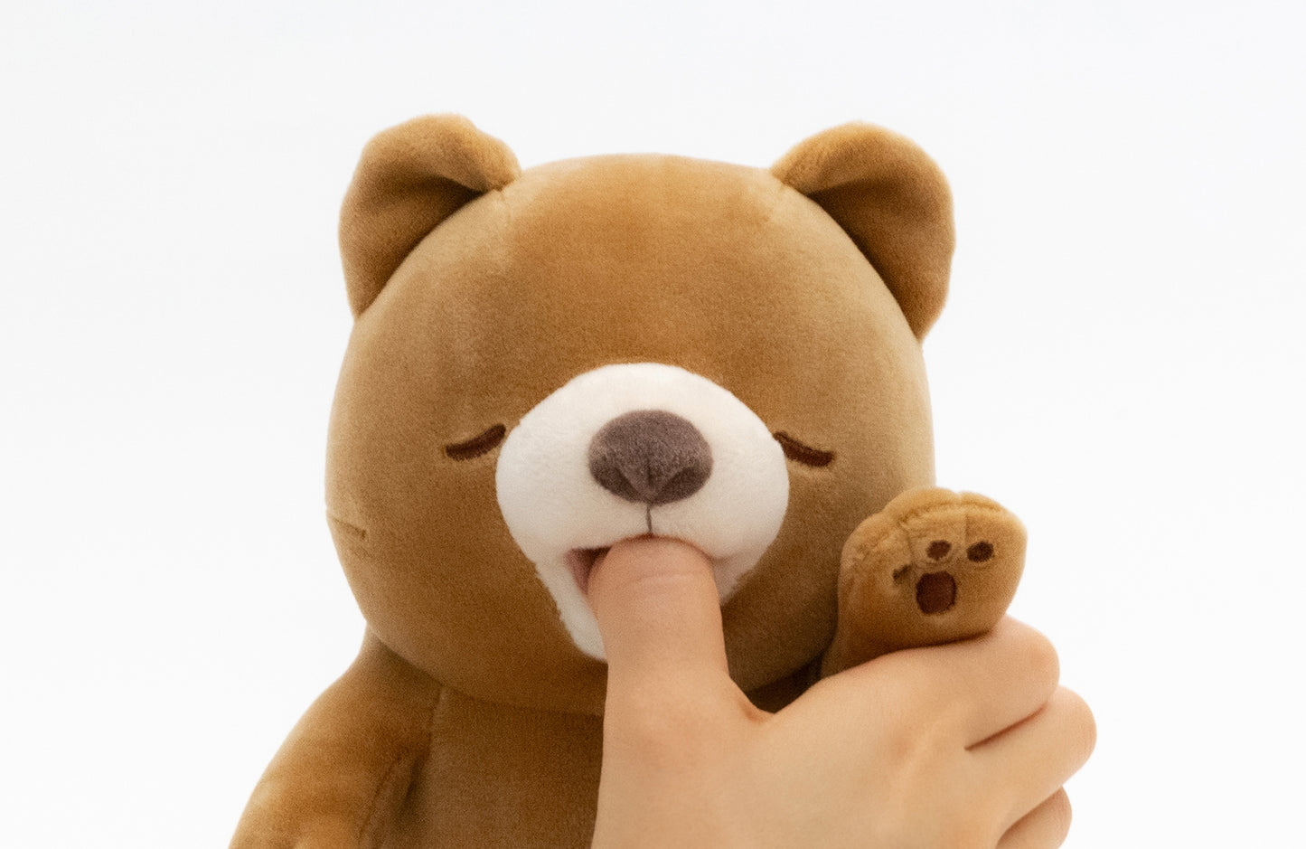 AMAGAMI HAM HAM